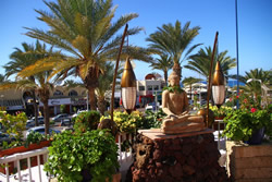 Playaflor Chill-Out Resort, Playa de las Americas, Tenerife