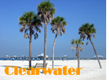 Clearwater, Florida Gay Hotels