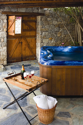 Mykonos gay holiday accommodation Hotel Apollonia Resort