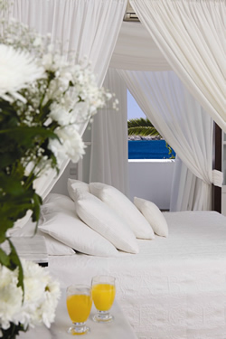 Gay friendly Apollonia Resort Hotel in Mykonos