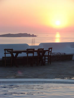 Gay favourite Mykonos Hotel Carrop Tree