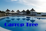 Mykonos gay friendly Boheme Luxury Suites (ex. Carrop Tree Hotel)