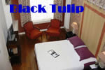 Exclusively Gay Black Tulip Hotel in Amsterdam