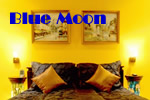 Exclusively Gay Blue Moon Bed and Breakfast in Amsterdam