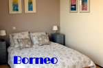 Exclusively Gay Borneo Bed and Breakfast in Amsterdam