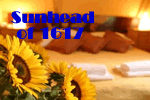 Amsterdam Exclusively Gay Sunhead of 1617 Bed and Breakfast