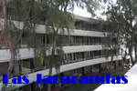 Alsol Las Jacarandas Apartments, Gran Canaria