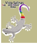 Ibiza gay guest house Vista Salinas