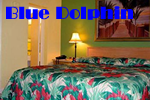 Exclusively Gay The Blue Dolphin Hotel in Fort Lauderdale