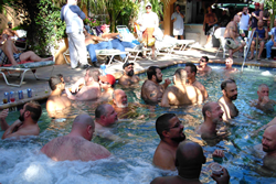Exclusively Gay clothing optional Coconut Cove Guesthouse in Ft.Lauderdale poolparty