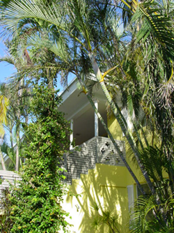 Gay Men's The Dunes Guest House in Ft.Lauderdale