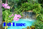 Fort Lauderdale Straight Friendly Ed Lugo Resort