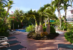 Exclusively Gay Resort Royal Palms in Ft.Lauderdale