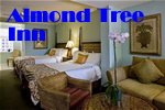 Key West Gay Friendly Almond Tree Inn