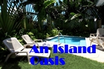 Key West Gay Friendly An Island Oasis B&B