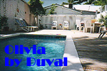 Key West Gay Friendly Olivia by Duval Guesthouse