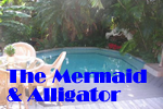 Key West Gay Friendly The Mermaid & Alligator B&B