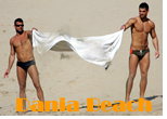 Dania Beach Gay Hotels