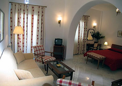 Gay favourite Mykonos Hotel Adonis