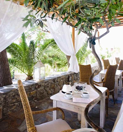 Gay friendly Elena Hotel, Mykonos