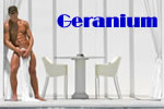 Gay Only Geranium Luxury Hotel Mykonos