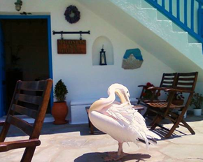Mykonos gay holiday accommodation Myconian Inn Hotel