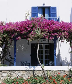 Gay friendly Hotel San Marco in Mykonos