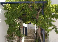Gay friendly Mykonos Hotel Spanelis