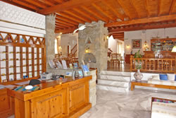 Gay friendly Hotel Vienoula's Garden Hotel in Mykonos