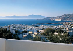 Gay friendly Hotel Zannis in Mykonos
