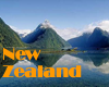 New Zealand Gay Hotels
