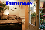 Amsterdam exclusively gay Barangay BB