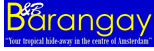 Amsterdam Exclusively gay B&B Barangay