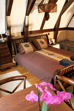 Gay Amsterdam Bed and Breakfast Barangay
