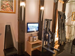 Gay Luxury and Art Hotel Black Tulip in Amsterdam