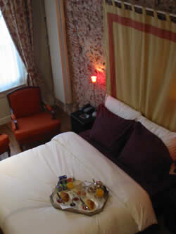 Exclusively Gay Hotel Black Tulip in Amsterdam