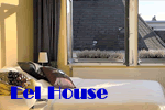 Exclusively Gay Eel House Bed and Breakfast in Amsterdam