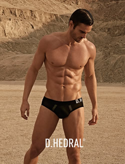 D.Hedral men's underwear