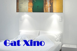 Barcelona Gay Friendly Gat Xino Hostel