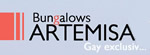 Artemisa Gay Bungalows Gran Canaria