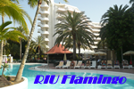 Riu Flamingo Gay Aparthotel, Gran Canaria