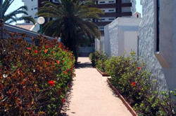 Gran Canaria Exclusively Gay complex Tenesoya Bungalows