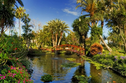 Gay Friendly Tenerife Hotel Botanico