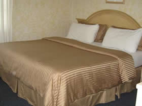 Fort Lauderdale gay holiday accommodation Elysium Resort Junior Suite