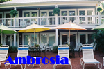 Key West Gay Friendly Ambrosia Key West Tropical Bed & Breakfast