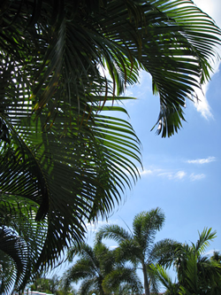 Exclusively Gay clothing optional Coral Reef GuestHouse in Ft.Lauderdale