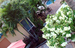 Ft.Lauderdale exclusively gay men's clothing optional The Cabanas Guesthouse and Spa